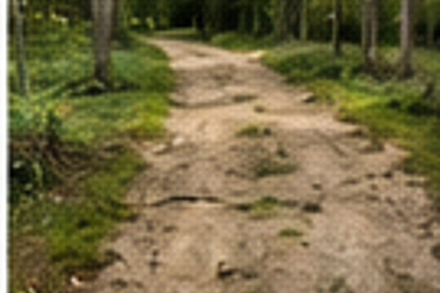 Driveway before