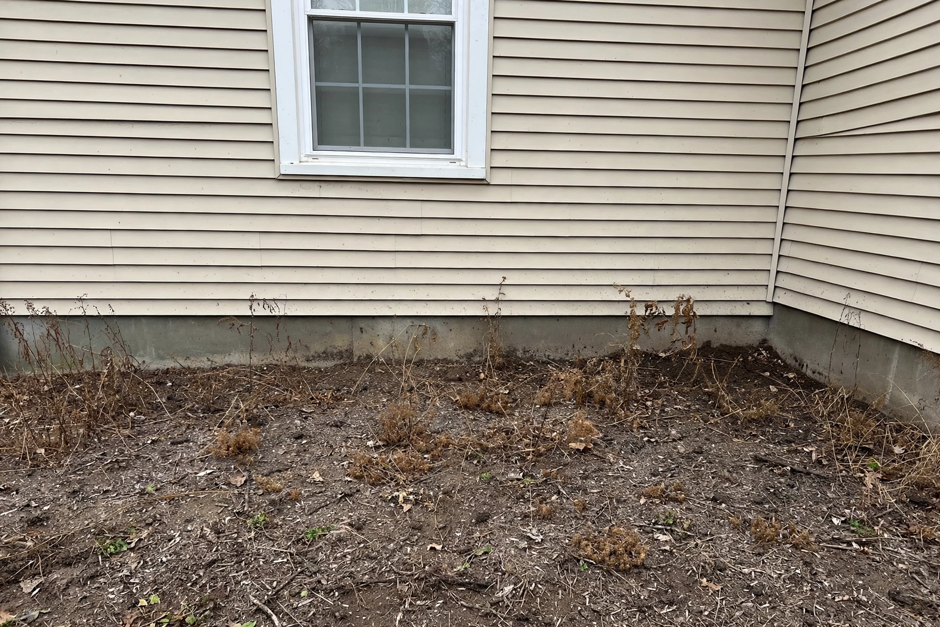 Flower garden before