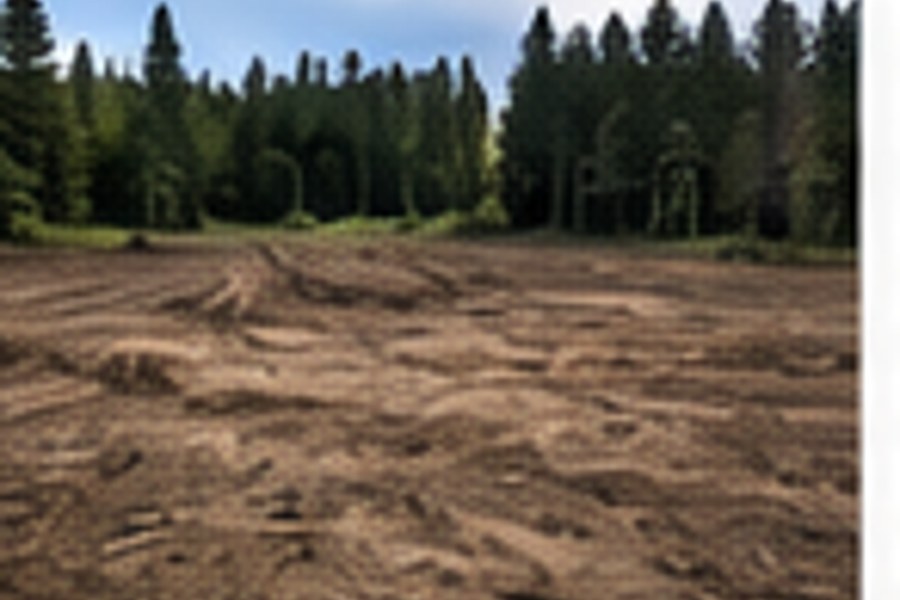 Lot after