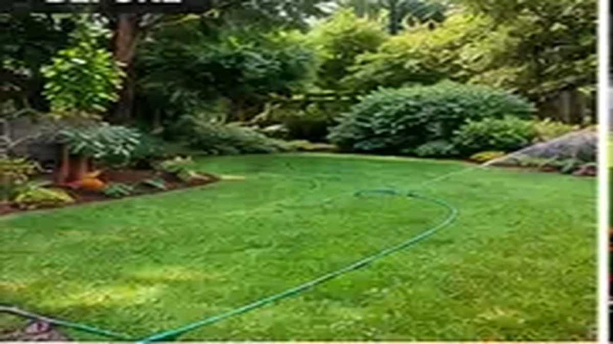 Irrigation before